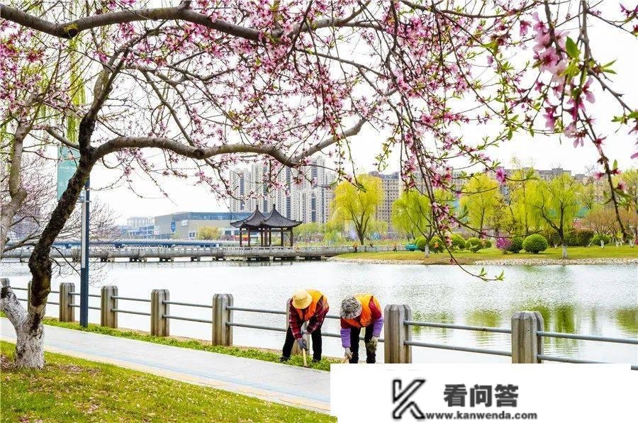 江苏24小时·滚动推送 | 如皋市：田园处处皆美景 斑斓村落入画来