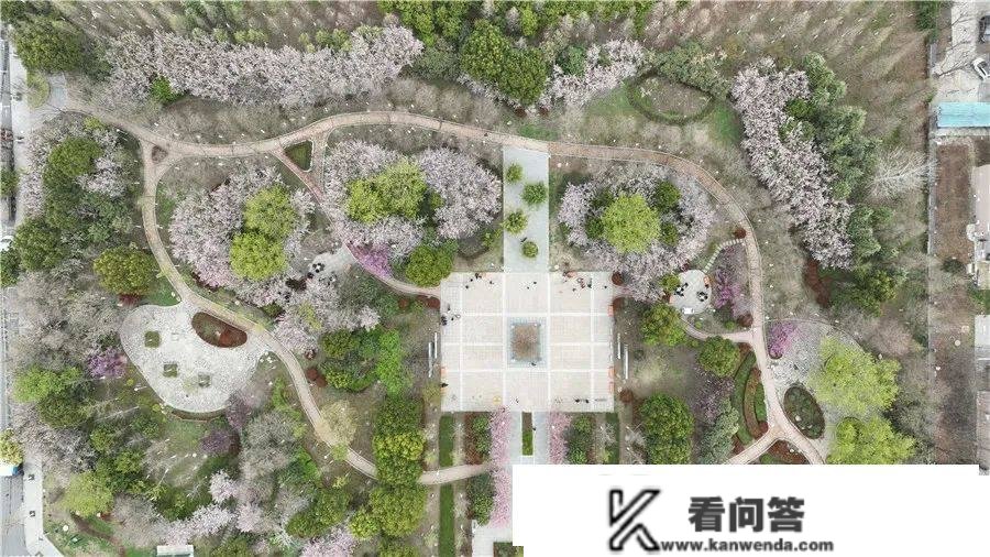 江苏24小时·滚动推送 | 如皋市：田园处处皆美景 斑斓村落入画来