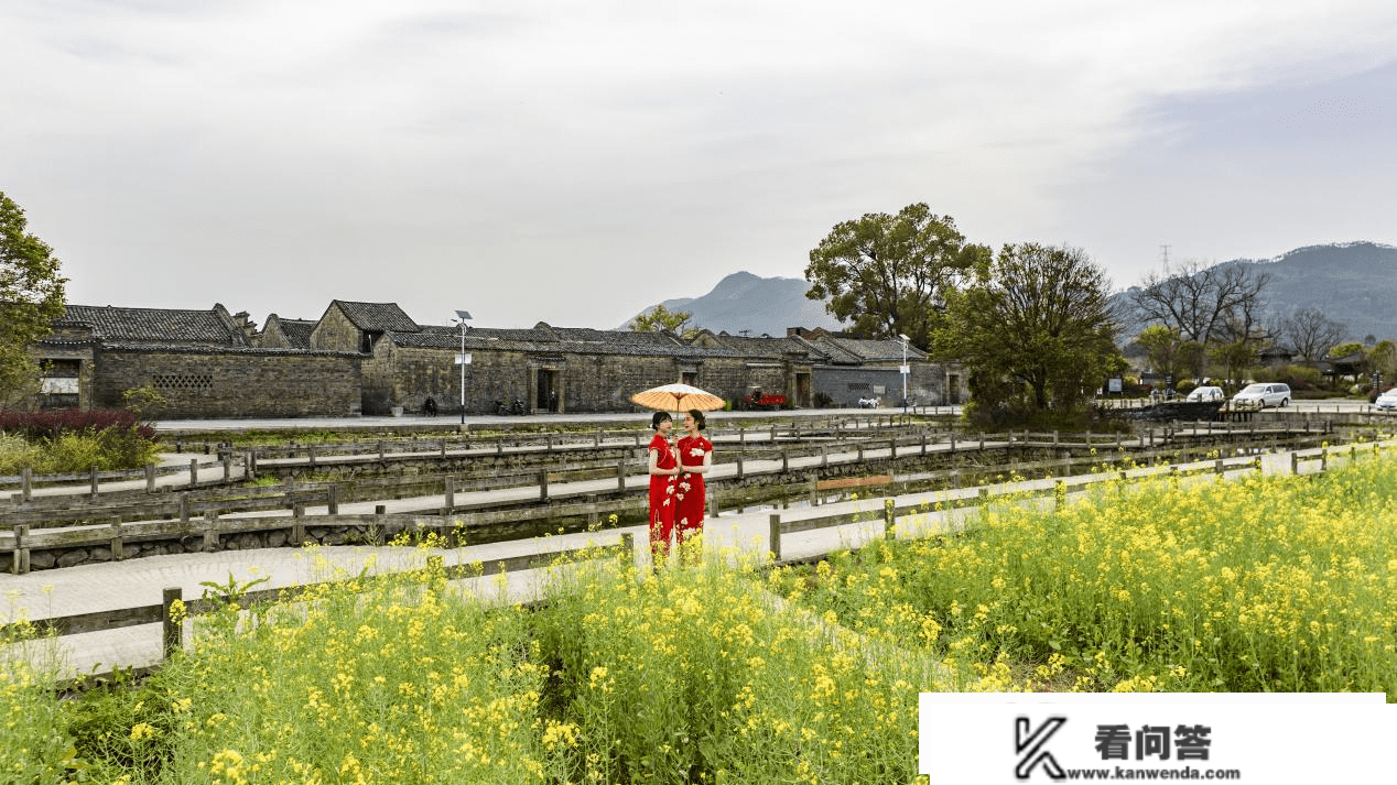 广西桂林：油菜花开春日美 古老村落展新颜