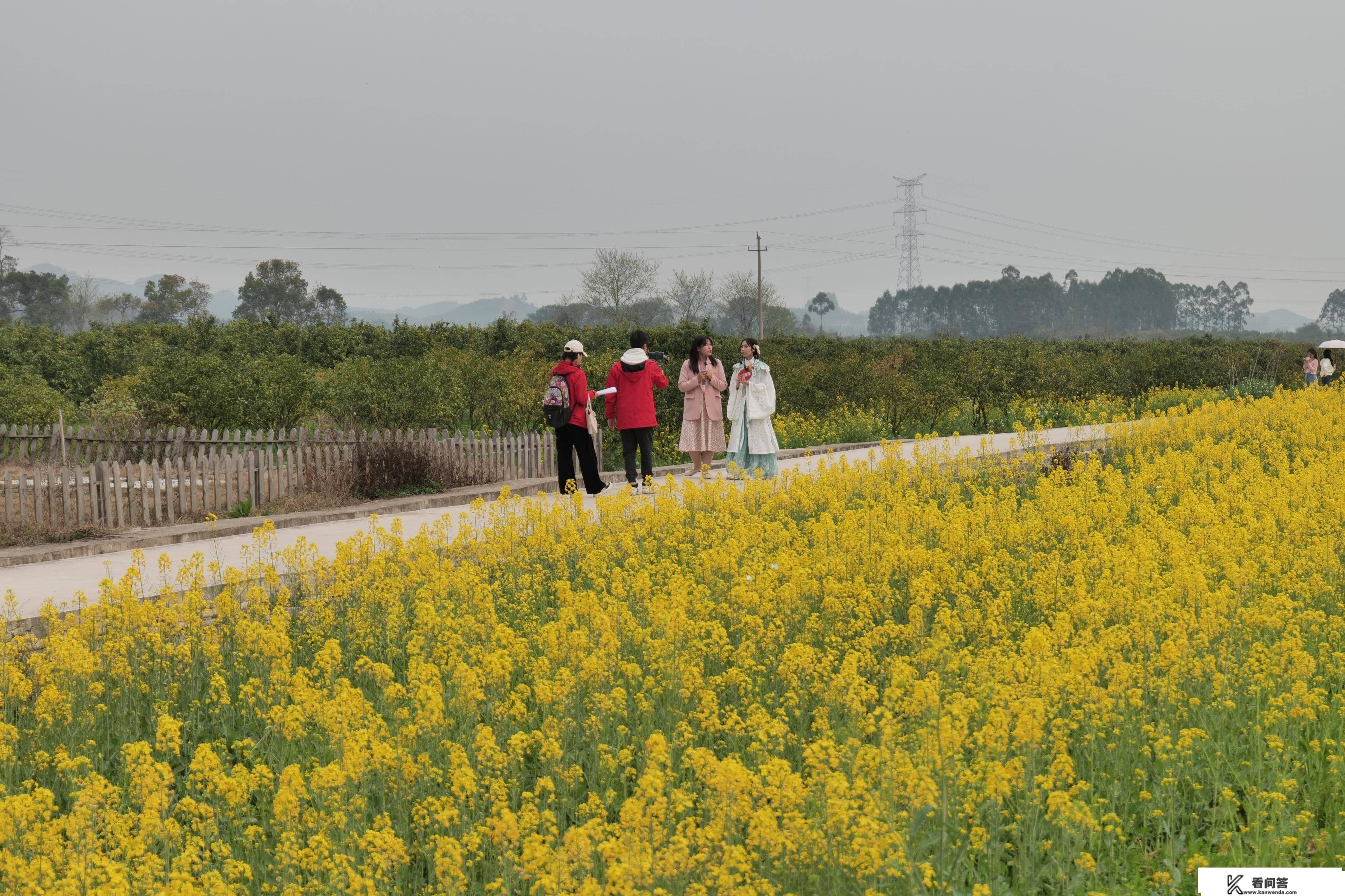 永福推进农旅交融 助力文旅苏醒