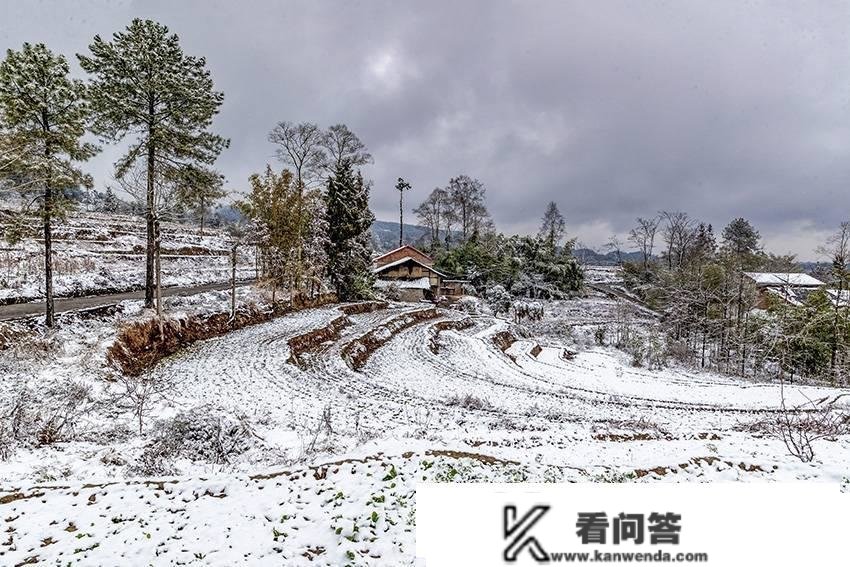 南川：雪润山乡 景美如画