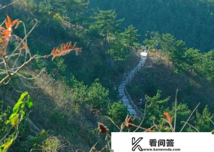 那些镌刻在2022的青岛文旅记忆