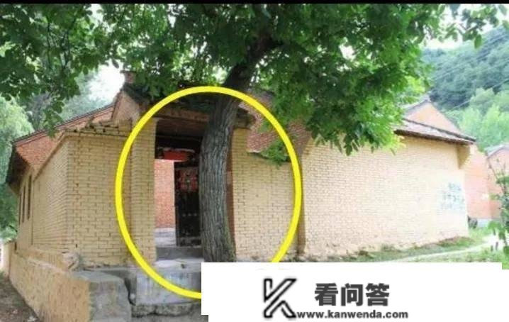 “天门不烧火，地湖不种树”是什么意思？