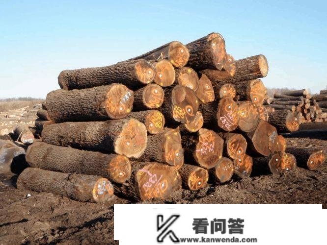 木材厂雇用信息 湖南木材厂招大锯保㡳8500/月