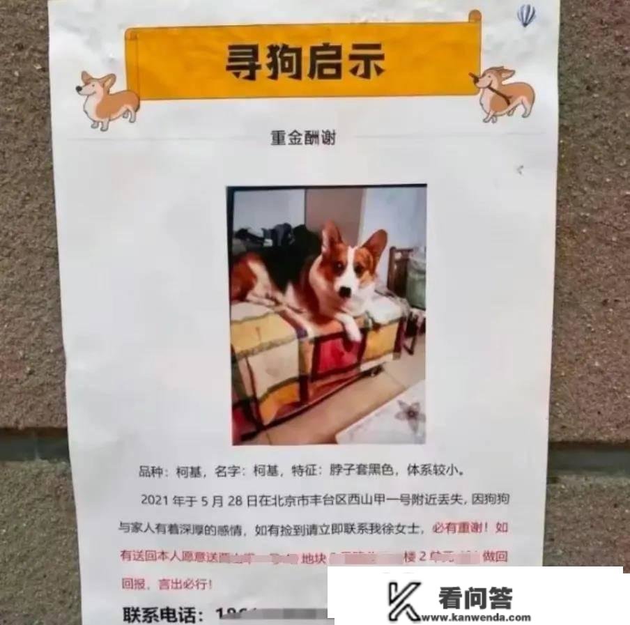 北京丰台，女子的爱犬丧失，她许诺谁帮她找到爱犬，她酬报一套价值280万的房