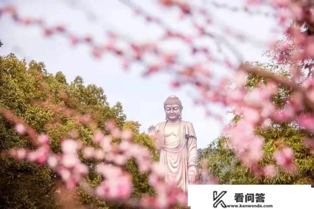 无锡太湖庄园售楼处_太湖庄园售楼处欢送您丨太湖庄园楼盘/户型/房价/地址/