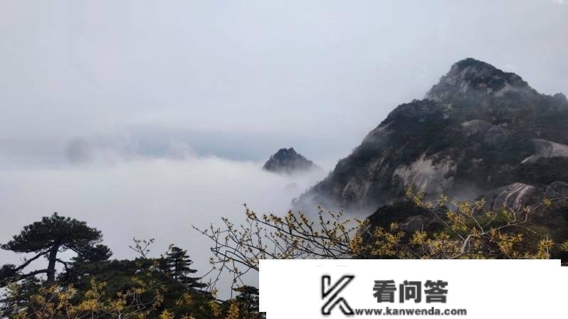 【春日里的中国】雨后黄山，春日云海似水墨仙境