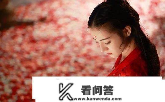 《十朵桃花》里除了上仙与上神的阶品，还呈现过什么其他阶品吗？