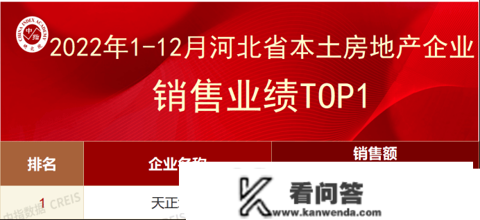 2022年河北省房地产企业销售业绩TOP10