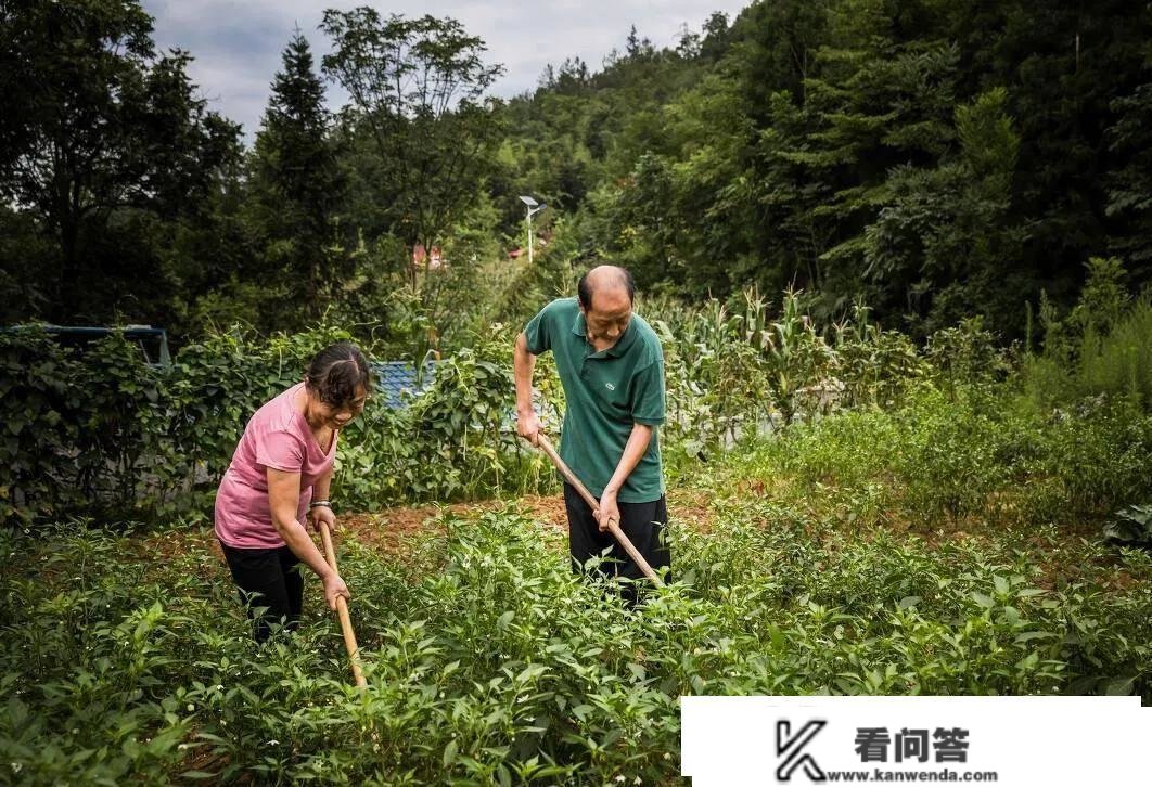 六七十年代贫苦的原因与消费积极性没有关系，次要有六个因素