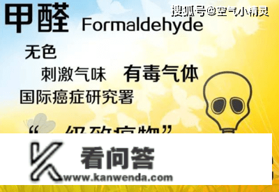 除甲醛空气净化器什么牌子好？诺森柏格2023空气净化器十大排行榜