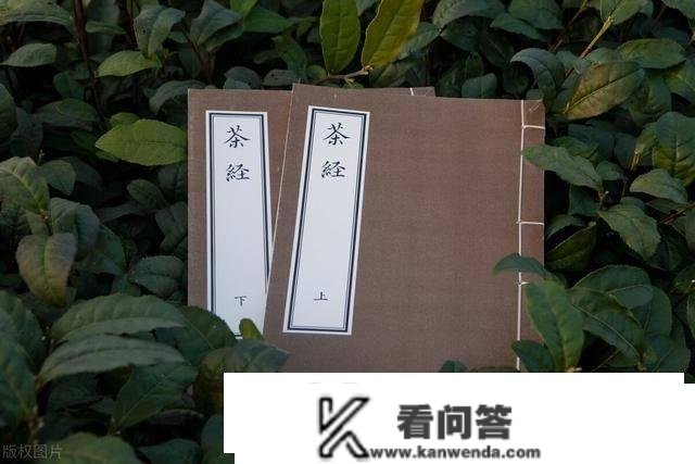 “中国六大茶系”指哪些茶？你认识几种？本来茶叶也有派系之分