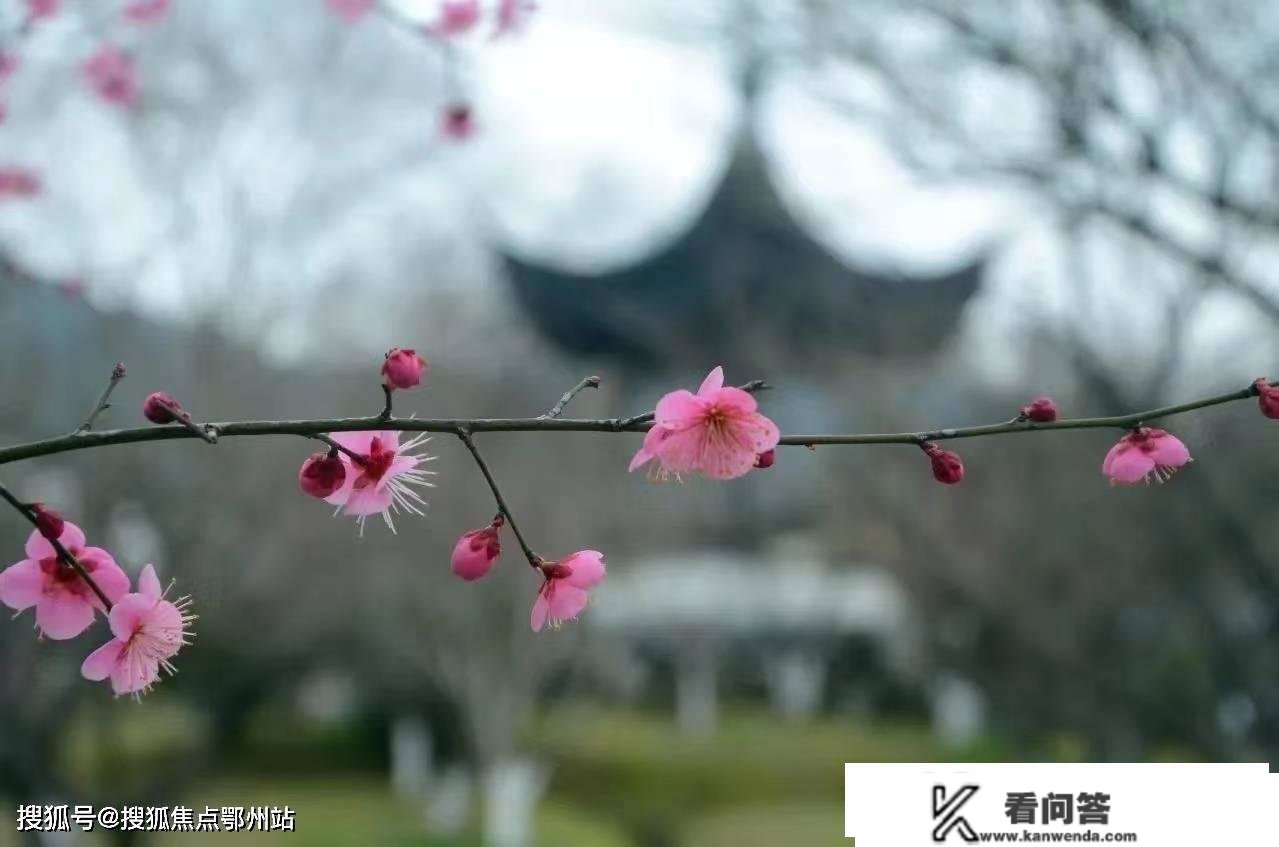 苏州复园售楼处德律风丨苏州【复园_售楼处德律风】24小时德律风丨售楼处地址