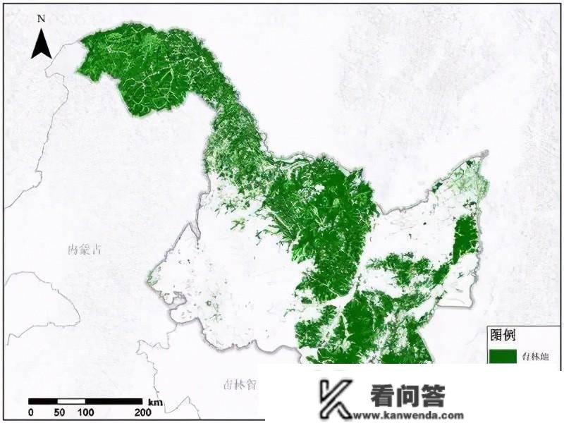 黑龙江双鸭山再现东北虎踪迹，碰到山君怎么办，拆死能否可行？