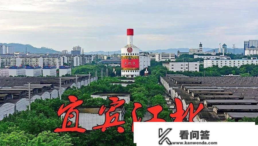 4.1亿！五粮液片区114亩地盘被丽雅胜利拿下！