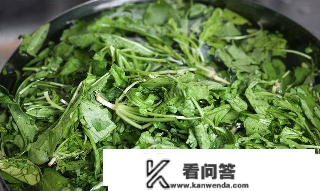 “春食一鲜，一年不病”，“一鲜”是什么意思？换季选短