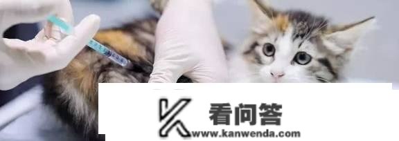 猫三联每年都要打吗？为什么