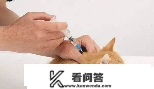 猫三联每年都要打吗？为什么