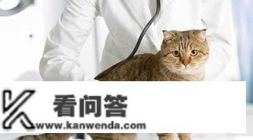 猫三联打完以后每年打什么针？猫每年都要打猫三联吗