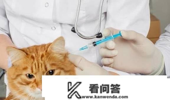 猫疫苗每年都要打吗？猫疫苗预防哪些病？