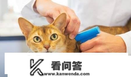 猫疫苗每年都要打吗？猫疫苗预防哪些病？