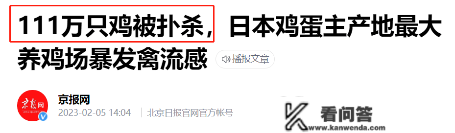 连麦当劳都无蛋可用？台湾那波缺蛋够狠