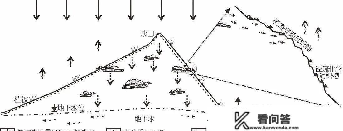 农村白果常说，打井到“阴河”排不完，实的有“阴河”吗？