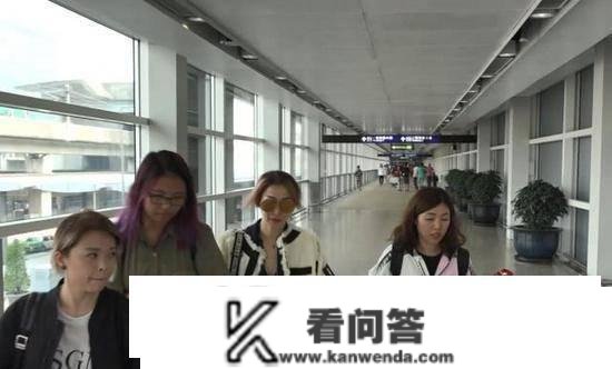 郑秀文机场躲记者逃跑，“小富婆”黄心颖买楼接房，许志安玩失踪