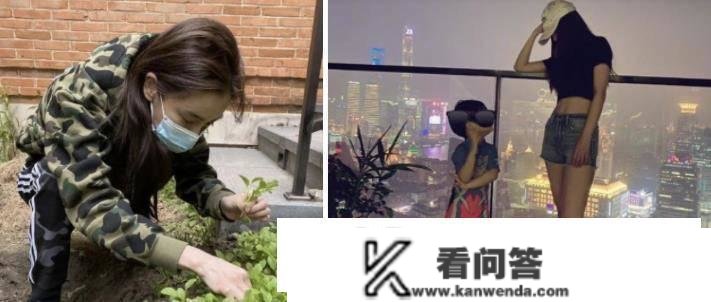 明星上海豪宅到底多豪华？刘嘉玲排不进前三，张庭家奢华如宫殿