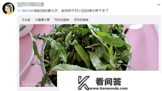 关于“小区绿化带挖野菜”？专家提醒！