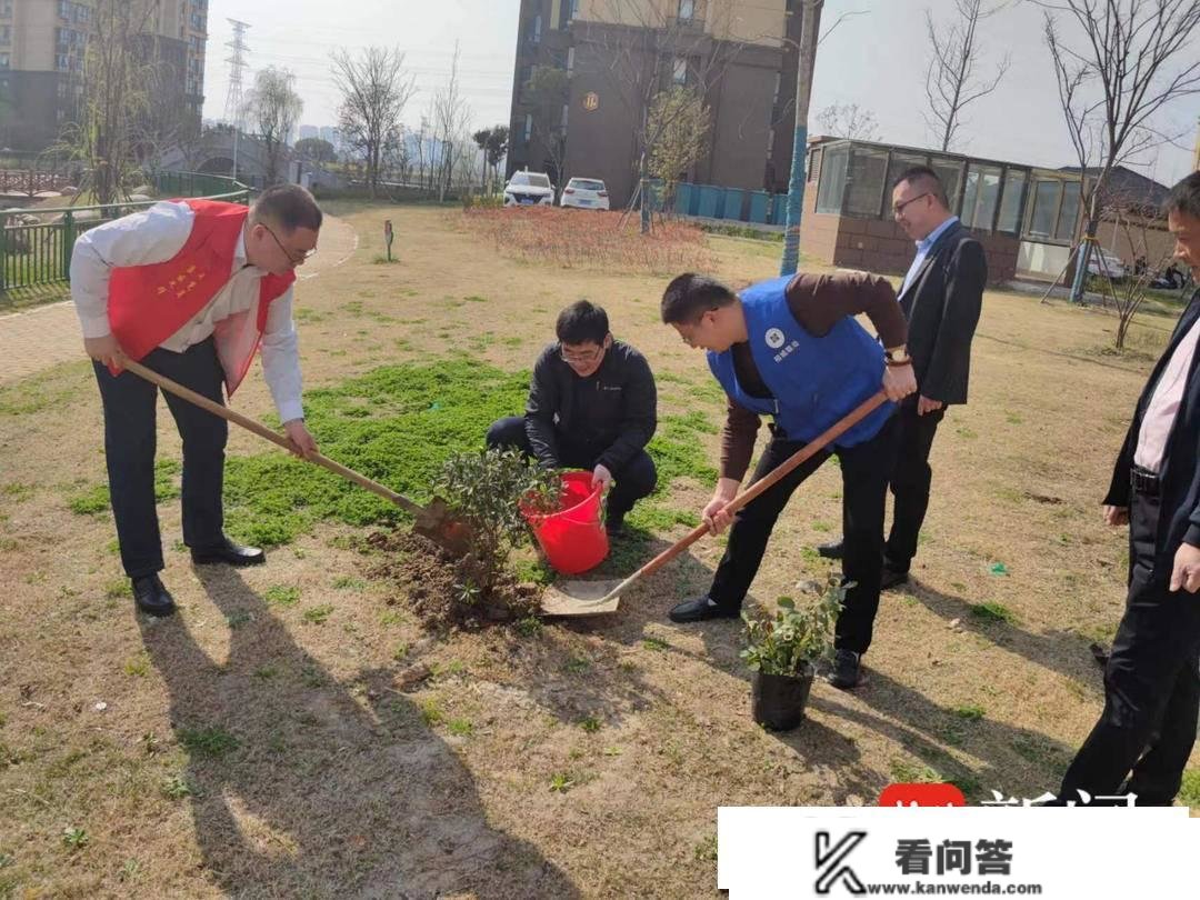 植树的同时，普及环保常识！苏州承平街道洞字社区用党建“37°家”的温情点亮37%绿化率