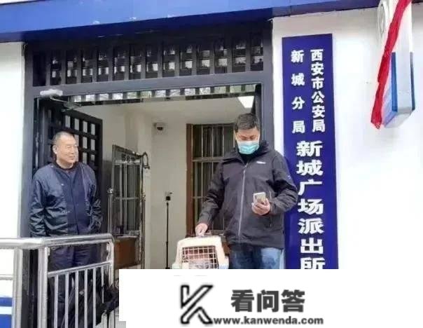 狐狸“落难”小区绿化带 西安警民联袂暖心救助