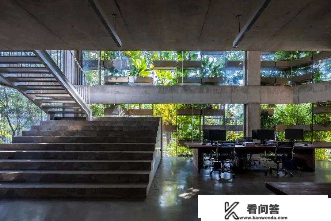 武重义事务所新做：190% 绿化率的城市农场办公大楼