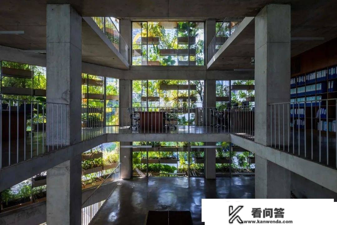 武重义事务所新做：190% 绿化率的城市农场办公大楼