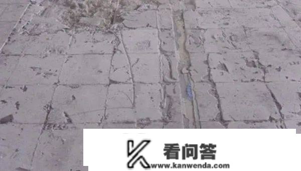 武重义事务所新做：190% 绿化率的城市农场办公大楼