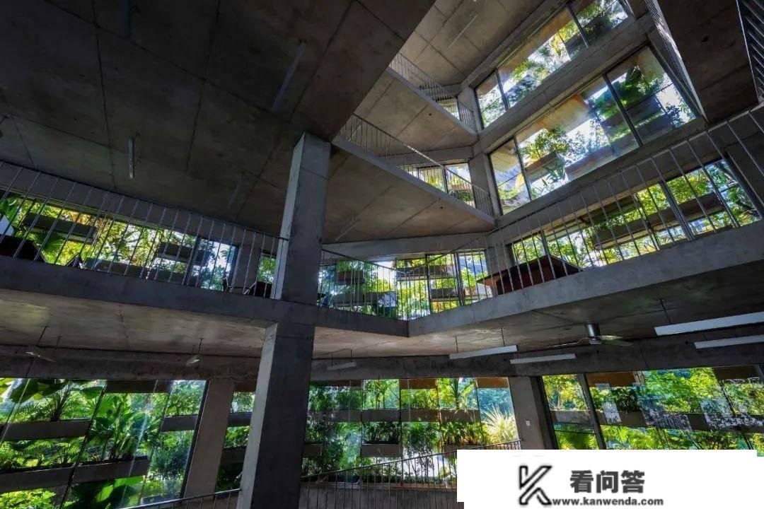 武重义事务所新做：190% 绿化率的城市农场办公大楼