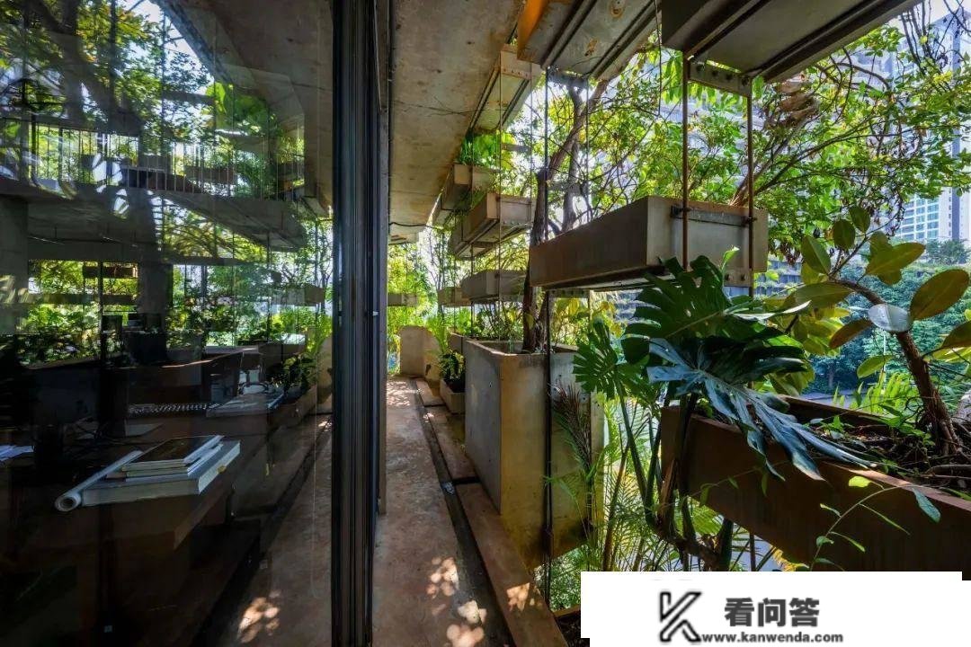 武重义事务所新做：190% 绿化率的城市农场办公大楼