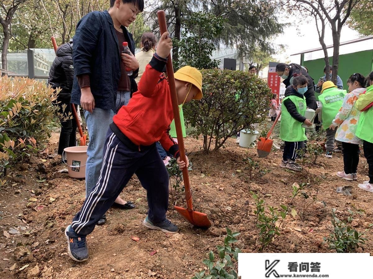 小手拉大手绿化家门口，武汉一小区多方筹集6万资金共建家园