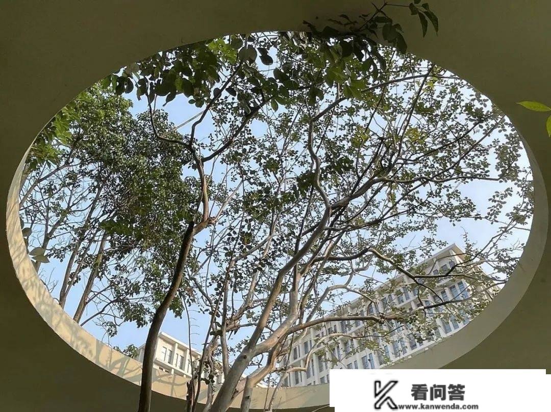 近期落成 | 办公建筑设想节选