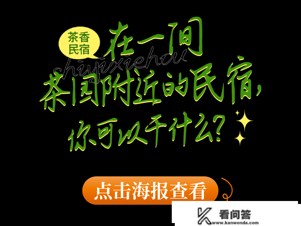 在一间茶园附近的民宿，你能够干什么？