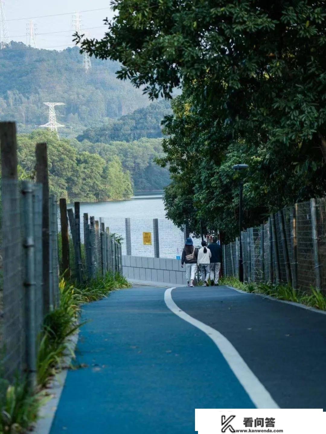 三月满城花海，拥有小寡治愈系海岸线，称之为初春最美的海滨城市