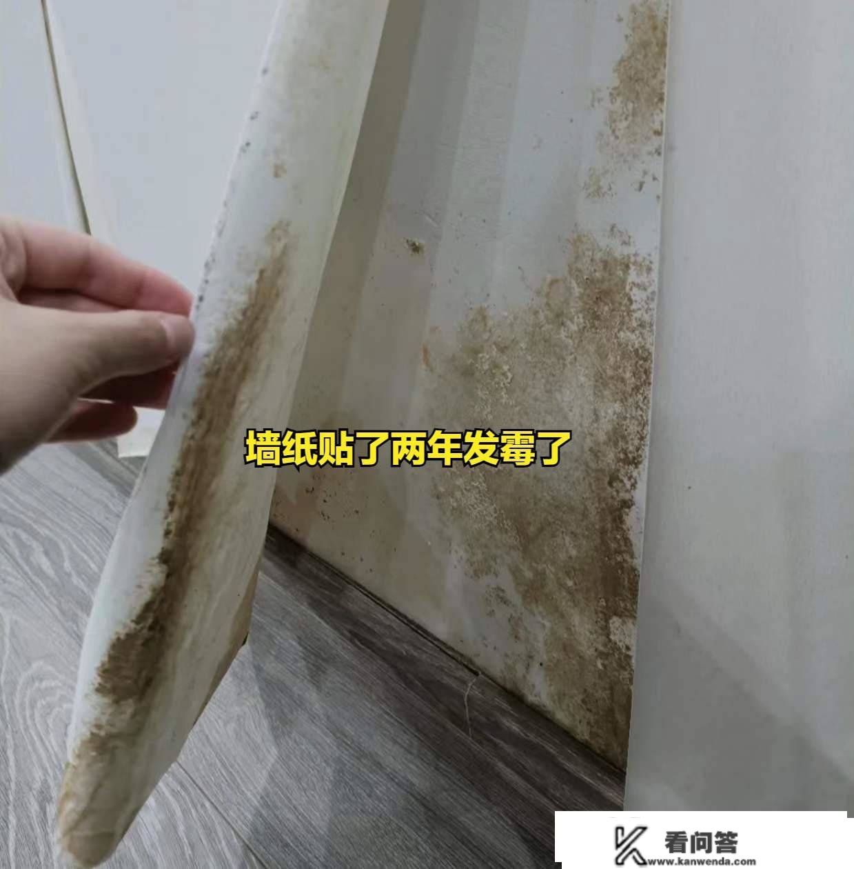 入住2年后，我发现那6个通俗设想反而更适用，建议提早看看！