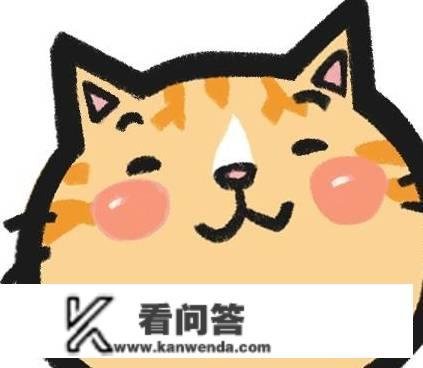 末于找到让猫咪不挠沙发的法子了！