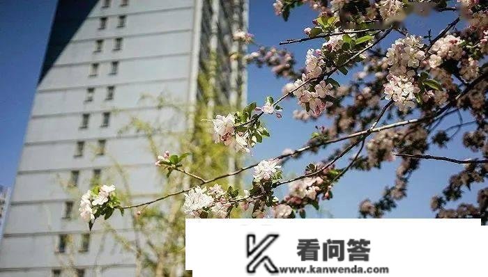 更高补助一半契税、买房即落户，又有超十城出台楼市撑持政策