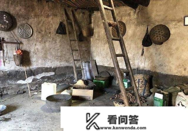 处所给农村孩子“加餐”，十年之后，多了一笔钱，高了十厘米