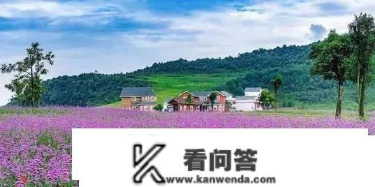 罗浮山那里花开主题公园，一个不容错过的景点