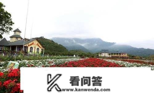 罗浮山那里花开主题公园，一个不容错过的景点