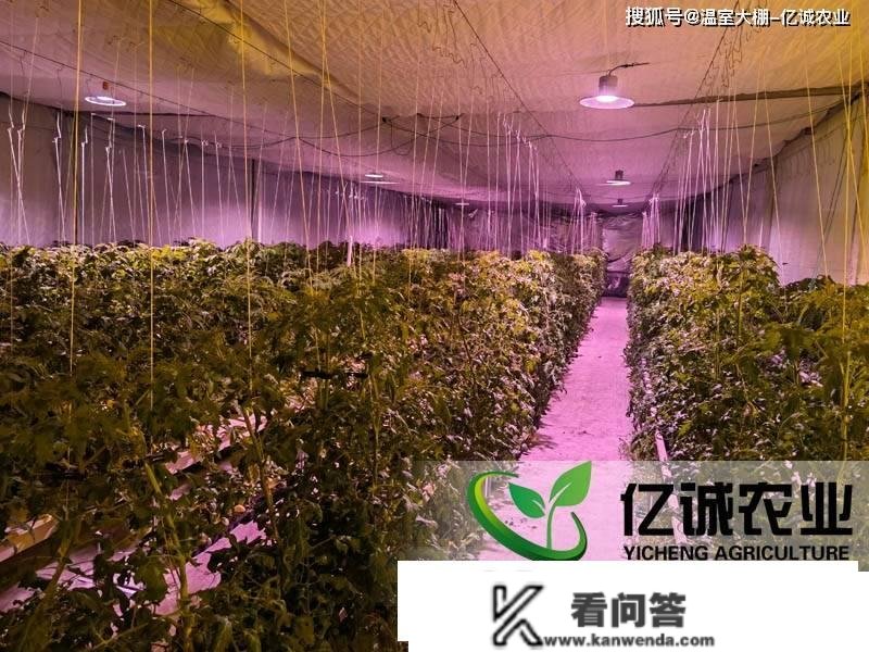 蔬菜大棚造价是若何计算的？