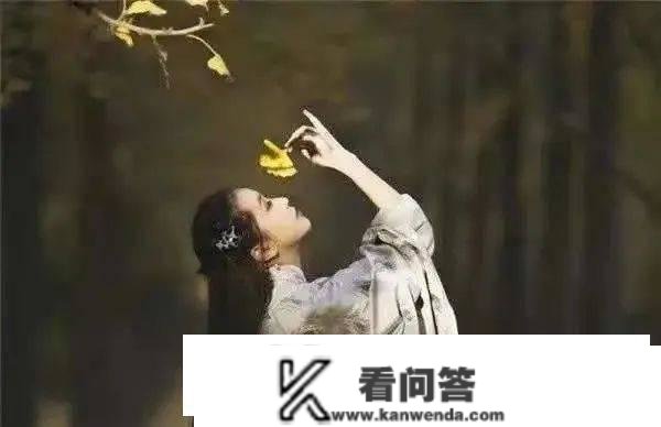 秋得到难过丨陶然一曲感君意，别后遗踪哪可寻