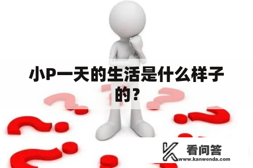 小P一天的生活是什么样子的？